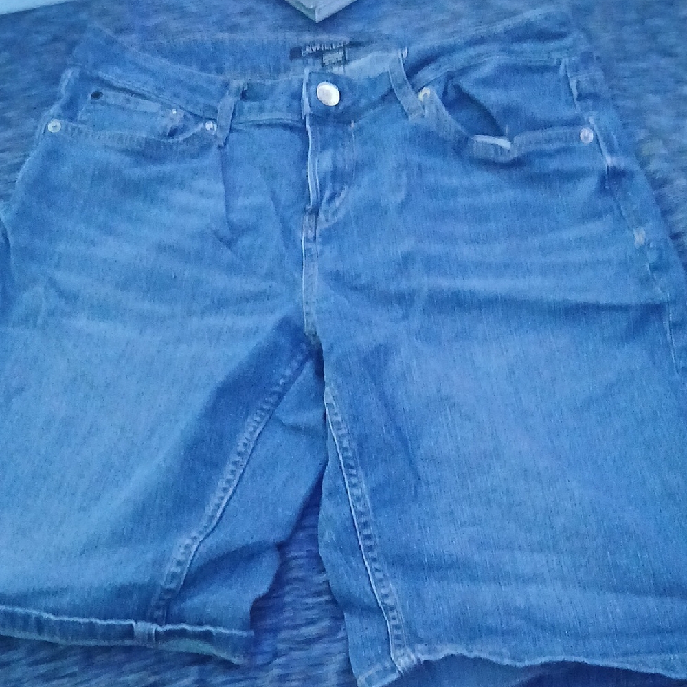 Calvin Klein Jeans Blue Denim Shorts